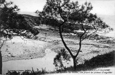 Iconographie - Le ruisseau du moulin, coin préferé des pêcheurs d'anguilles