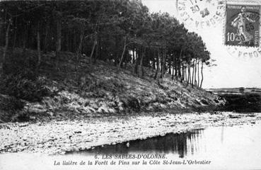 Iconographie - La lisière de la forêt de pins sur la côte Saint-Jean-l'Orbestier