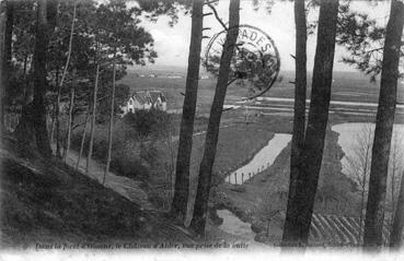 Iconographie - Dans la forêt d'Olonne, le château d'Alder, vue prise de la butte