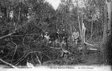 Iconographie - La forêt d'Olonne