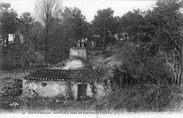 Iconographie - Forêt d'Olonne, habitation dans les bourbes de l'Allerie