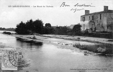 Iconographie - Les marais de l'Aubraie