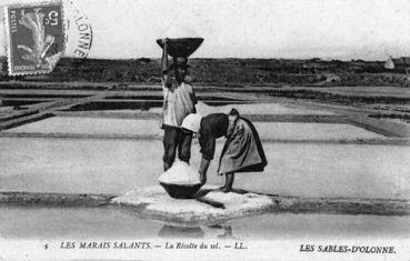 Iconographie - Les marais salants - La récolte du sel