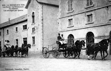 Iconographie - Les haras - La promenade des étalons