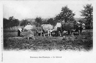 Iconographie - Travaux des champs - Le labour