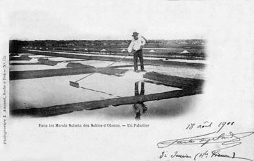 Iconographie - Dans les marais salants des Sables... Un paludier