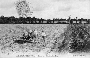 Iconographie - Laboureur des Moulins-Rouges