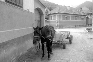 Iconographie - Boita - Attelage dans la rue