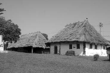 Iconographie - Cartisoara - Maisons couvertes de végétaux