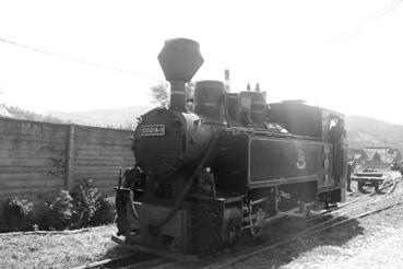 Iconographie - Locomotive du train des bûcherons