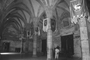 Iconographie - Le château Corvin - La salle gothique