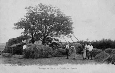 Iconographie - Battage du blé à la gaule en Vendée