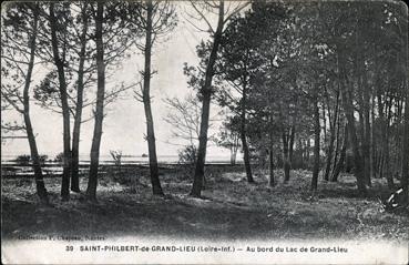 Iconographie - Au bord du lac de Grand-Lieu