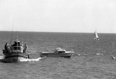 Iconographie - L'Amazone, d'Ernest Pajot, patron marin-pêcheur