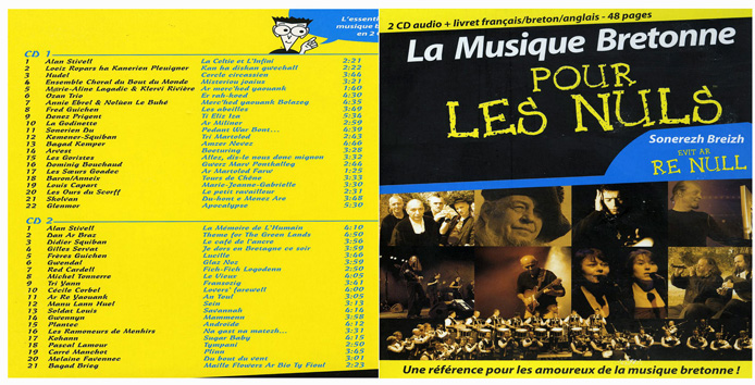 La musique bretonne pour les nuls