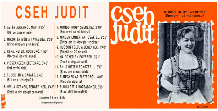 eur_rou_cseh_judit_epe01179