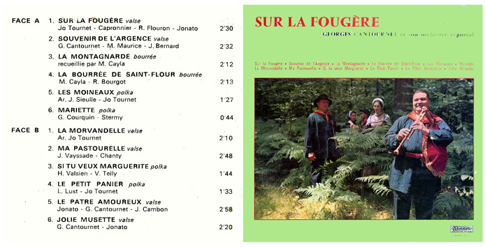 Sur la fougère