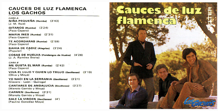 Cauces de Luz flamenca